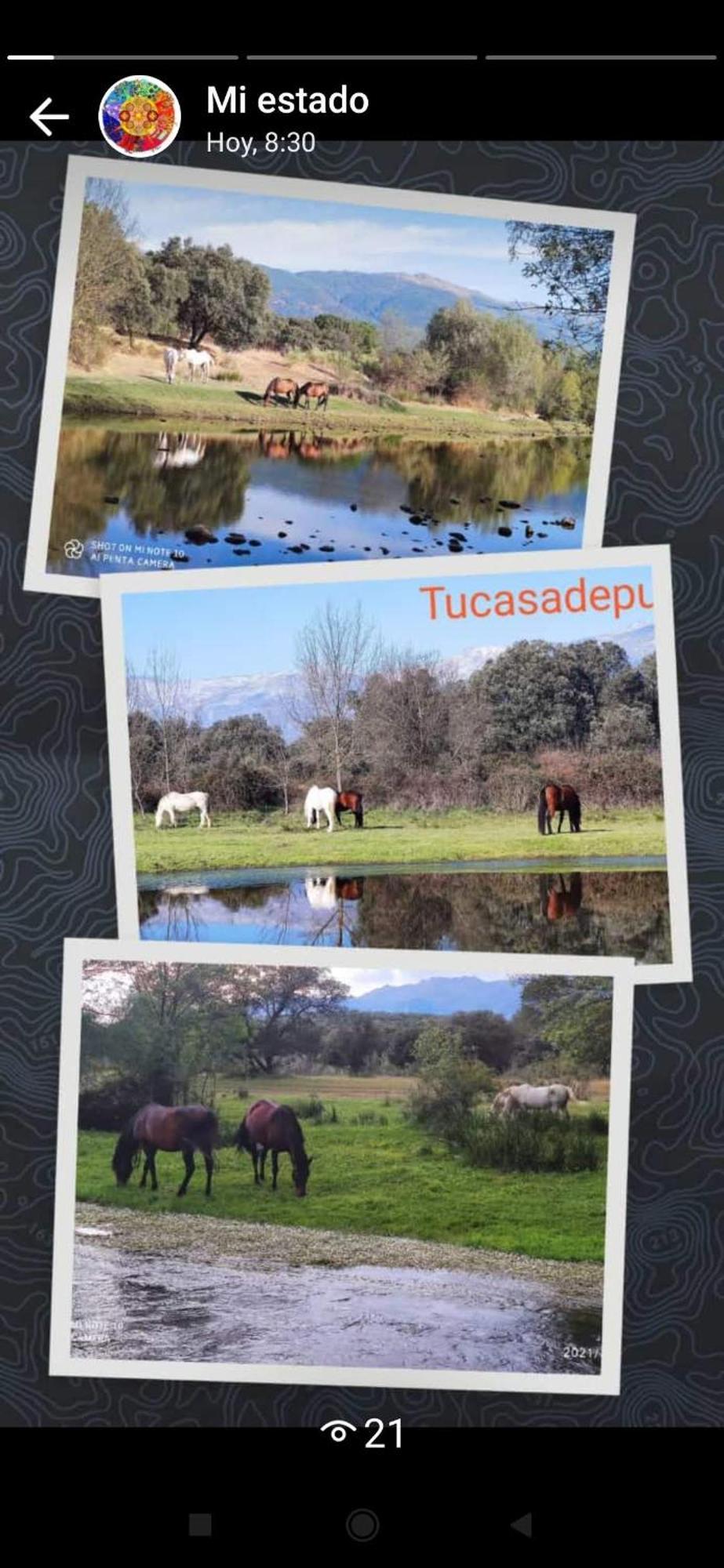 Tu Casa De Pueblo Villa La Iglesuela Exteriör bild